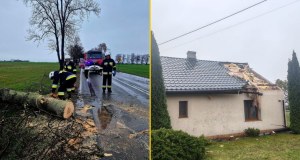 Powalone drzewa, nadłamane konary. Pracowite święta strażaków