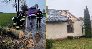Powalone drzewa, nadłamane konary. Pracowite święta strażaków