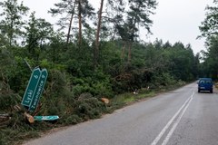 Powalone drzewa po nawałnicy w woj. śląskim