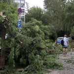 ​Powalone drzewa, połamane konary. W Krakowie wciąż trwa usuwanie skutków nawałnicy