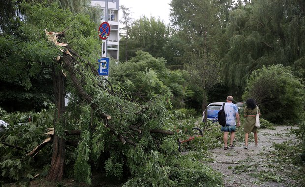 ​Powalone drzewa, połamane konary. W Krakowie wciąż trwa usuwanie skutków nawałnicy