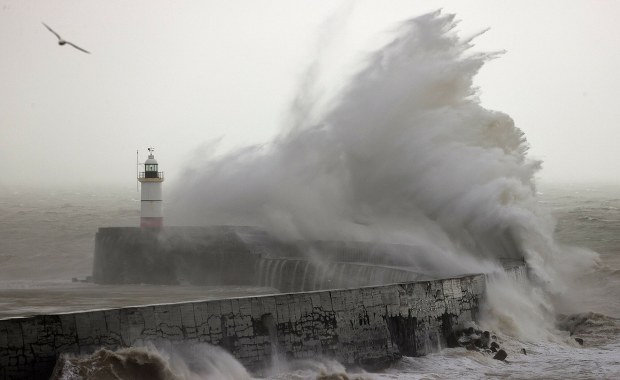 Powalone drzewa, setki alertów powodziowych. Cyklon Henk uderzył w Wielką Brytanię