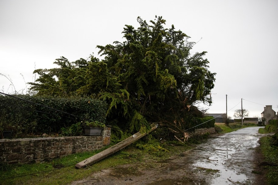 Powalone drzewa w Kerlouan we Francji /VINCENT FEURAY /PAP/EPA