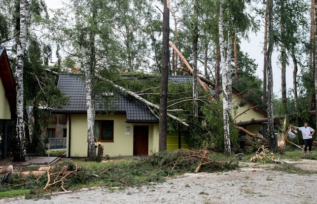 Powalone drzewa w okolicach Nędzy i Górek Śląskich /PAP/Andrzej Grygiel    /PAP