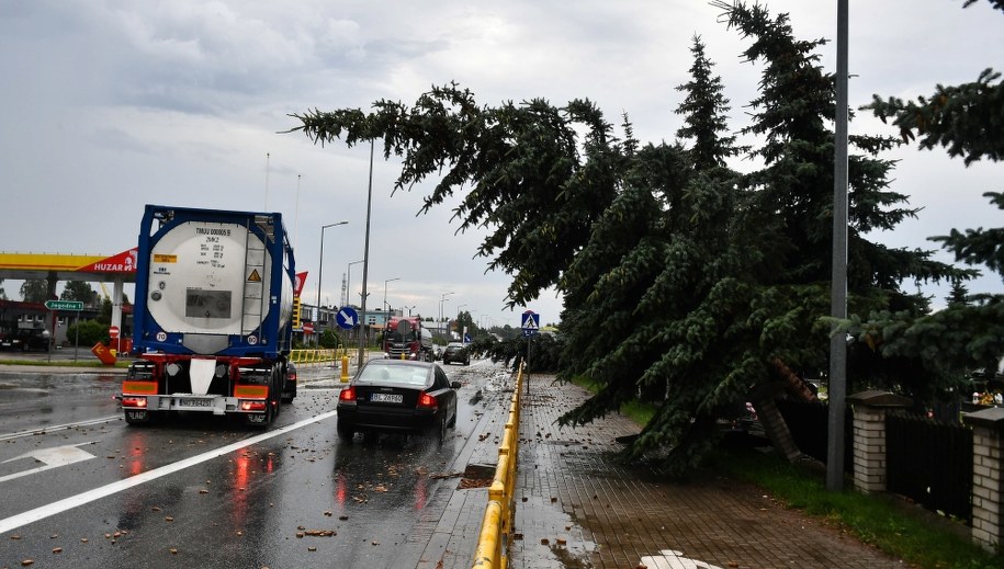 Powalone drzewa w Piszu /Andrzej Lange /PAP