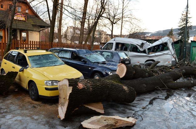 Powalone przez wiatr drzewo zniszczyło kilka samochodów w Zakopanem /Grzegorz Momot /PAP