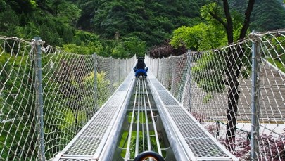 Poważny wypadek na kolejce górskiej. Dwie kobiety w szpitalu