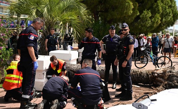 Poważny wypadek w Cannes. Palma spadła na agenta aktora