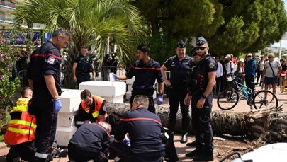 Poważny wypadek w Cannes. Palma spadła na agenta aktora