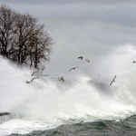 Powieje nawet do 10 w skali Beauforta. IMGW wydał alert najwyższego stopnia