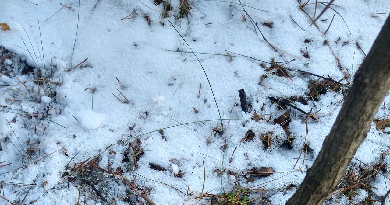 Powiększa się zapadlisko w Bolesławiu