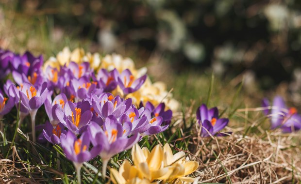 Powiew wiosny w prognozach. Kiedy termometry wskażą 16 stopni?