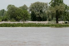 Powódź w Świniarach - zobacz zdjęcia