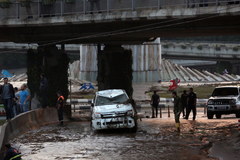 Powódź w Tbilisi. Z zoo uciekły zwierzęta