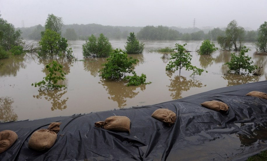 Powódź we Wrocławiu w 2010 roku / 	Grzegorz Hawałej    /PAP