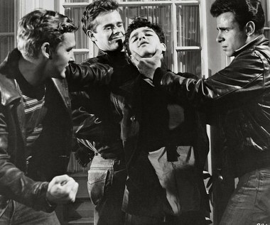 Powrót Mineo na szczyt został nagle przerwany. 12 lutego 1976 roku, gdy aktor wracał z próby do swojego domu, został napadnięty. Napastnik ugodził go nożem. Trafił w serce. Mineo zginął na miejscu. Na jego pogrzebie pojawili się najważniejsi ludzie w Hollywood: Warren Beatty, Paul Newman, Yul Brynner, Dennis Hopper, Natalie Wood. Jednocześnie rozpoczęły się poszukiwania zabójcy. Nagrodę za pomoc w znalezieniu go obiecał sam John Lennon.

Na zdjęciu: Sal Mineo w scenie z filmu "Buntownik bez powodu"