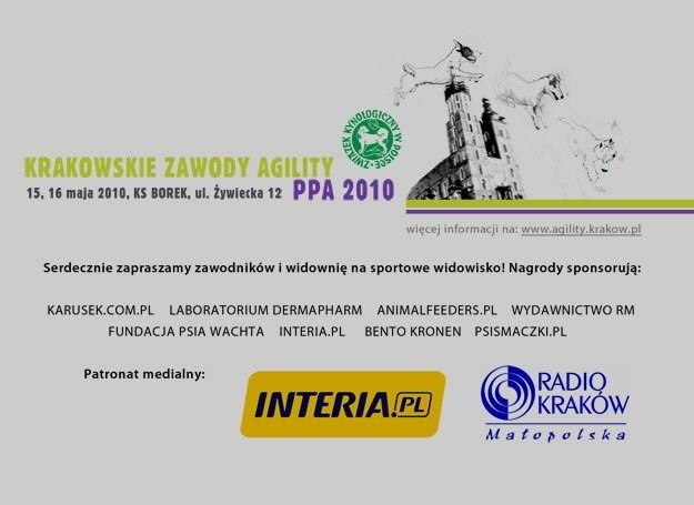 Powrót po latach: Ostatnie zawody z cyklu Puchar Poslki agility odbywały się w Krakowie w 1999 r. /INTERIA.PL