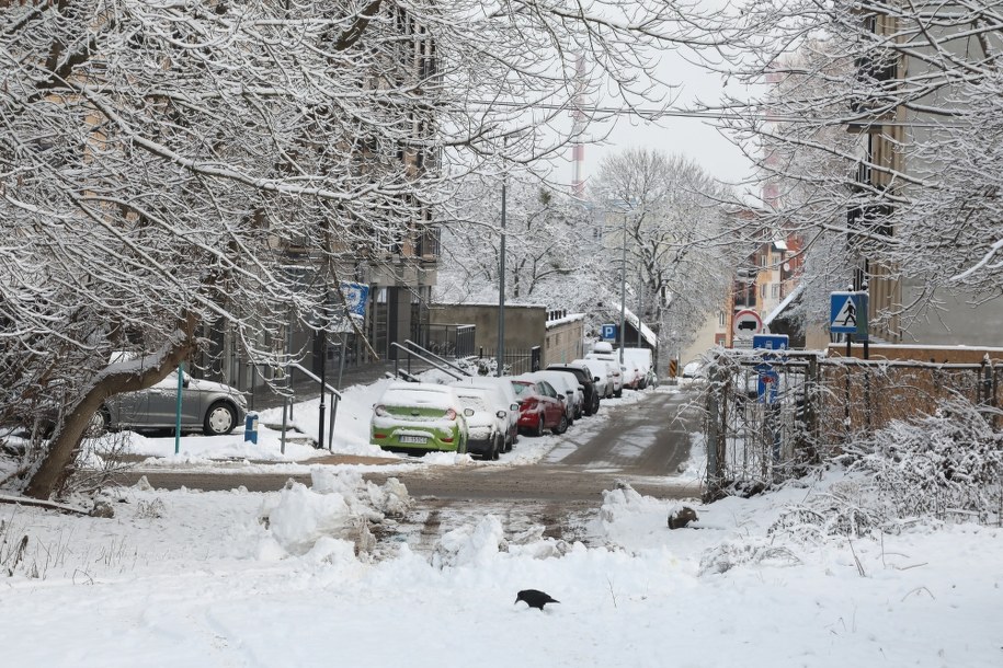 Powrót zimy w Białymstoku /Artur Reszko /PAP