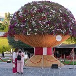 Powstał z 5564 kwiatów. Oto największy bukiet na świecie!