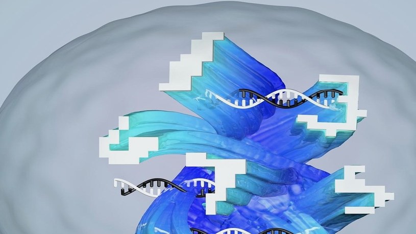 Powstała pierwsza sztuczna sieć neuronowa z DNA. Rozwój AI znacznie przyspieszy /Geekweek