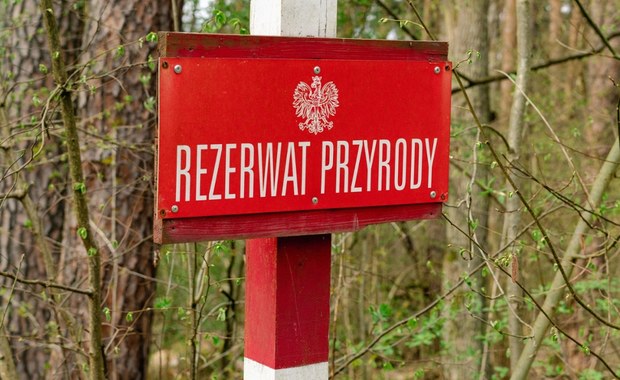 Powstały nowe rezerwaty przyrody na Lubelszczyźnie