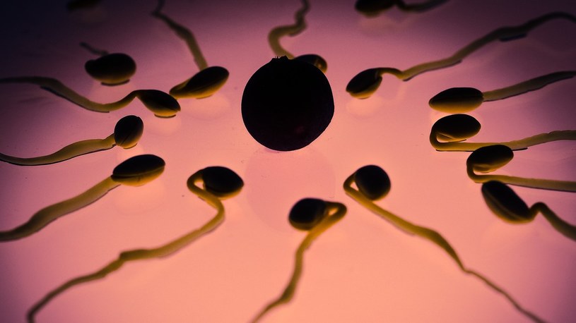 Powstaną nanoroboty inspirowane ludzką… spermą, które uzdrowią nasze ciała /Geekweek