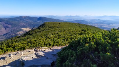 Powstanie kolejna wieża widokowa w Beskidzie Wyspowym