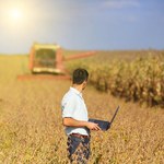 Powszechny Spis Rolny w 2020 roku. Rolnicy nie będą mogli odmówić udzielenia informacji