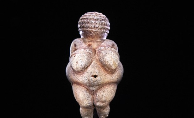 Pożądana otyłość figurek Wenus