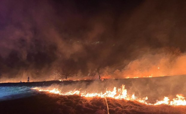 Pożar 9 hektarów nieużytków przy granicy z Czechami