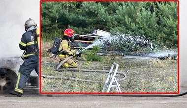 Pożar baterii auta elektrycznego pod Warszawą. Ktoś wyrzucił ją do lasu