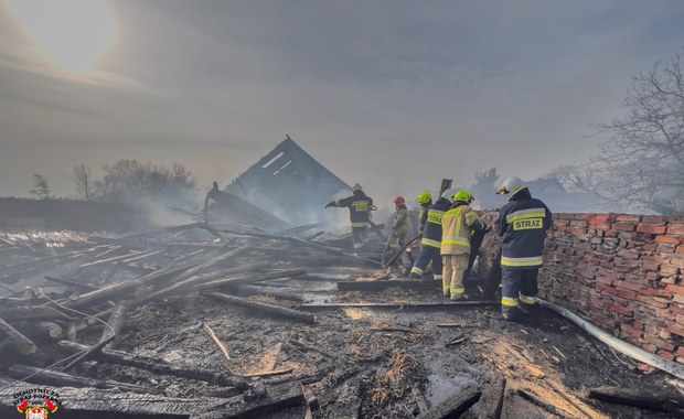 Pożar budynku gospodarczego. Spłonęło trzysta królików