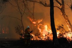 Pożar buszu w Australii 