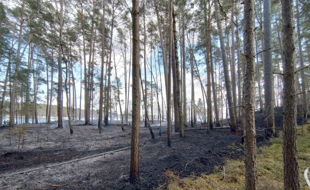 "Pożar był związany z pobytem ludzi". Dyrekcja parku składa zawiadomienie