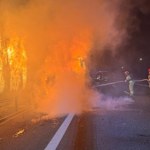 Pożar ciężarówki na S7. W ogniu stanęły też ekrany akustyczne