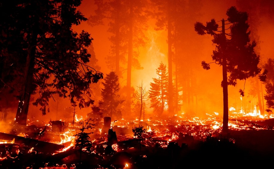Pożar Creek Fire /ETIENNE LAURENT /PAP/EPA