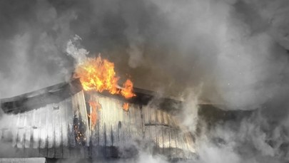 Pożar domków wypoczynkowych w popularnej nadmorskiej miejscowości