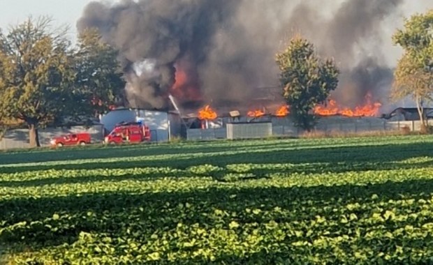 Pożar fabryki mebli w Lubuskiem. "Główna część hali uległa zawaleniu"