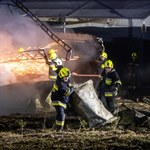 Pożar fabryki mebli w Wałdowie Królewskim