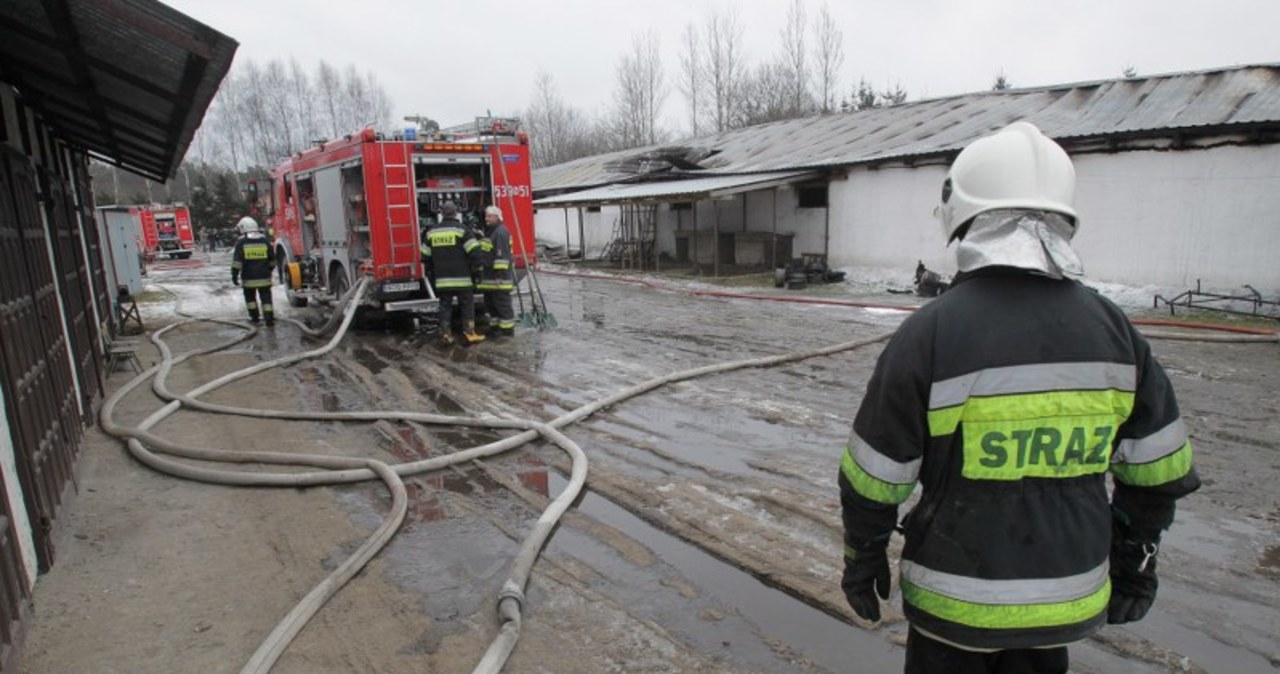 Pożar fabryki w Ostródzie-Międzylesiu