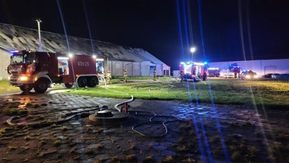 Pożar firmy rolniczej na Pomorzu. Nieoficjalnie: To mogło być podpalenie