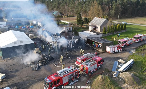 Pożar hal koło Kłobucka. Z ogniem walczyło kilkudziesięciu strażaków