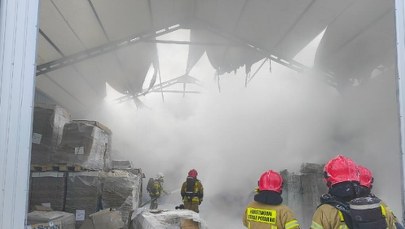 Pożar hali magazynowej w Mogilnie. Trwa akcja strażaków 