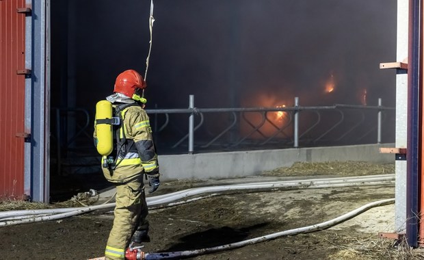 Pożar hali w Komorowie na Dolnym Śląsku. Sprawę zbada prokuratura