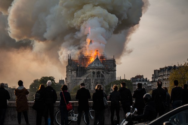Pożar katedry Notre-Dame /Shutterstock