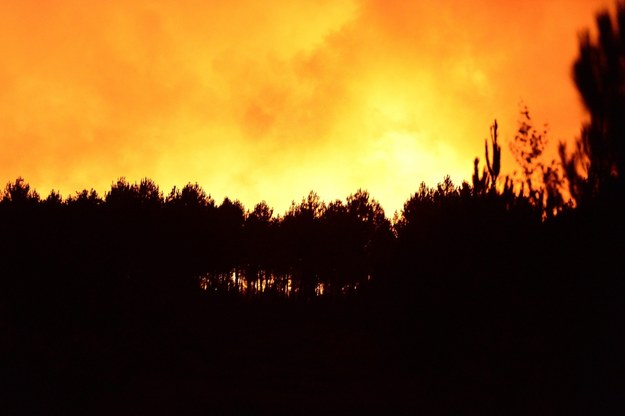 Pożar, który wybuchł w piątek w departamencie Żyrondy we Francji, strawił dotąd już 600 hektarów lasu sosnowego /CAROLINE BLUMBERG /PAP/EPA