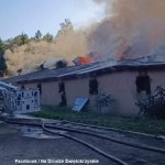 Pożar kurnika w Świętokrzyskiem. W budynku było prawie 30 tys. kurcząt