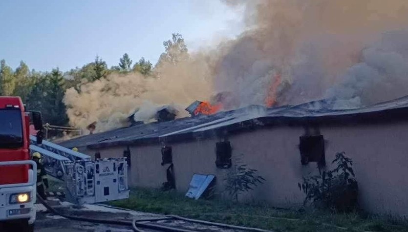 Pożar kurnika w Świętokrzyskiem. W budynku było prawie 30 tys. kurcząt