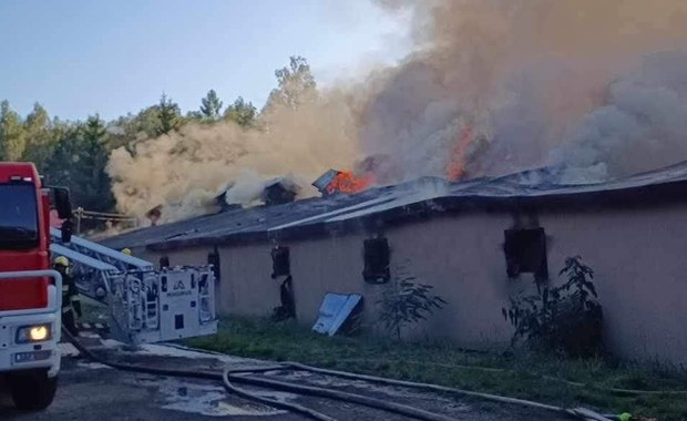 Pożar kurnika w Świętokrzyskiem. W budynku było prawie 30 tys. kurcząt