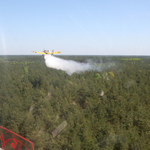 Pożar lasów pod Warszawą. "Trochę ich teraz będzie"